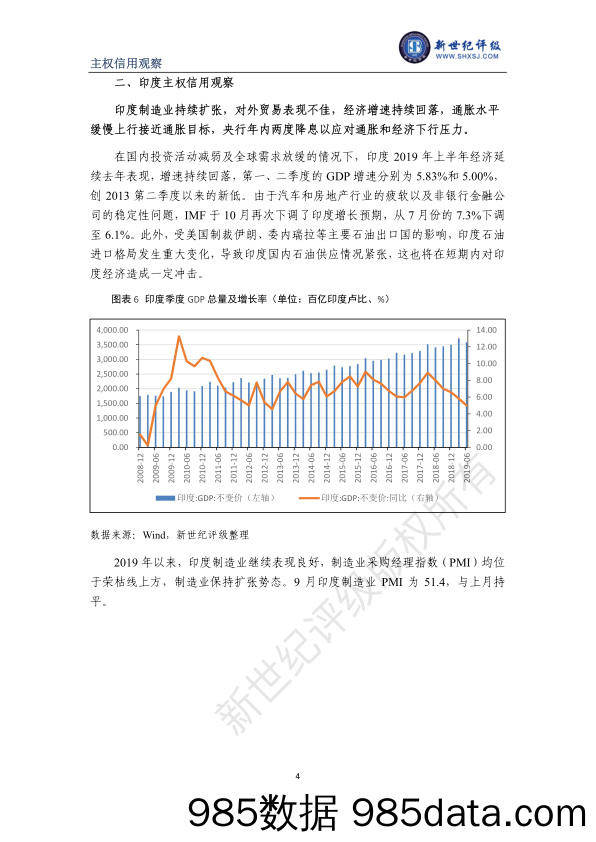 新世纪评级-发展中国家主权信用观察（俄罗斯、印度、南非、巴西）-2019.11插图3