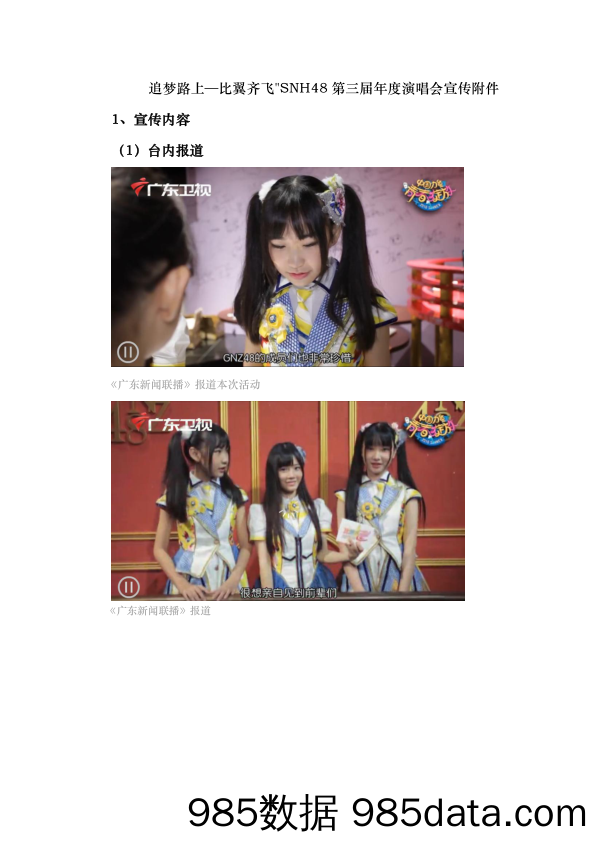 【项目结案】附件1：SNH48第三届年度演唱会总结结案（附件版）