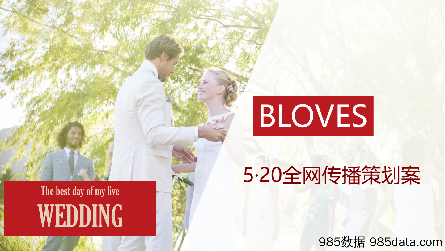 BLOVES·520-线上传播方案