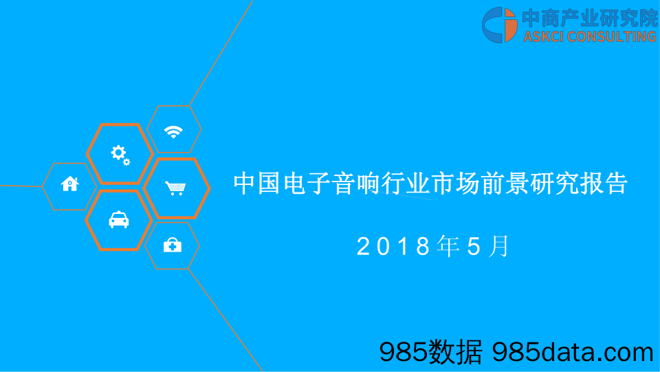 【家居家电】中国电子音响行业市场前景研究报告(20页)