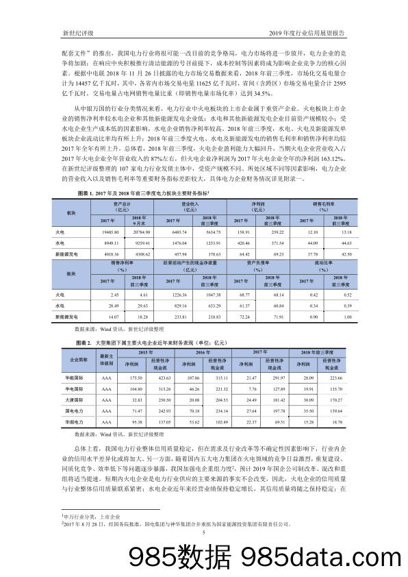 【电力】新世纪评级-电力行业2019年度信用展望-2019.1插图4