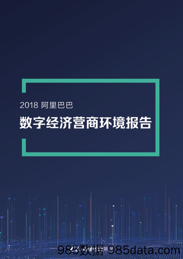 阿里巴巴-数字经济营商环境报告-2019.5