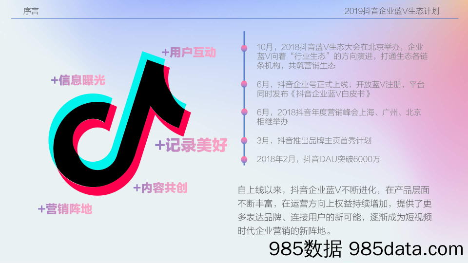 【营销-互联网】抖音-2019抖音企业蓝V生态计划-2018.12插图3