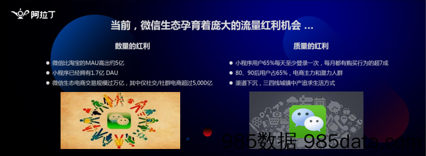 阿拉丁年会-从投资视角看小程序在社交电商中的变量-彭笑玫 GGV 纪源资本-2019.1.5插图4