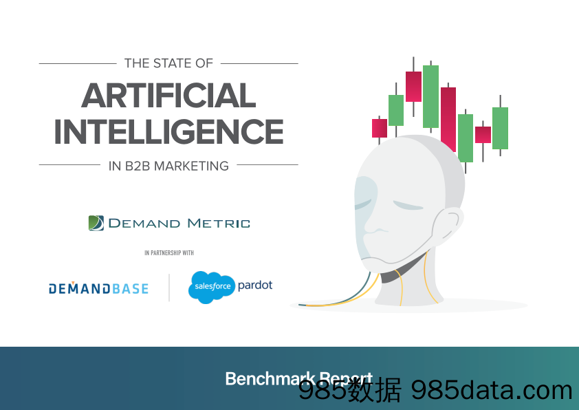 【营销】Demand Metric-B2B营销人工智能使用情况（英文）-2019.6