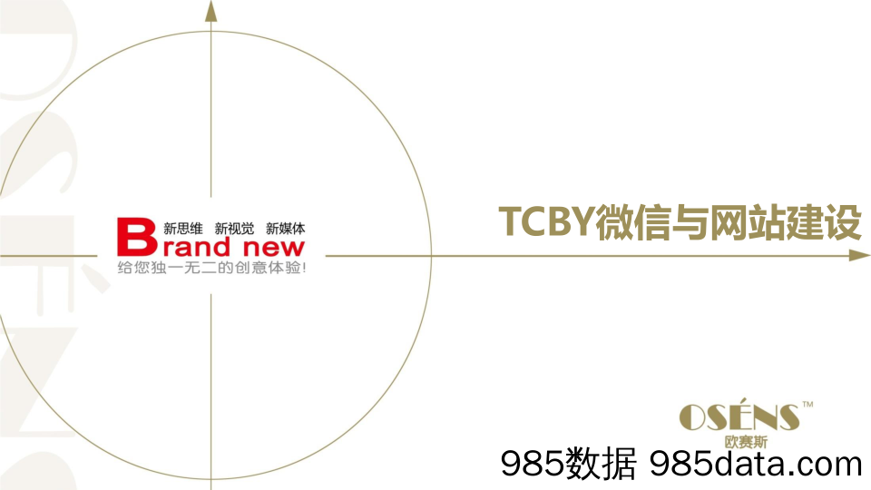 【社媒营销】TCBY冰激凌连锁品牌微信运营与网站建设策划方案