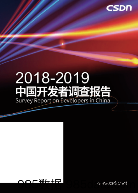 【互联网】CSDN-2018-2019中国开发者调查报告-2019.7