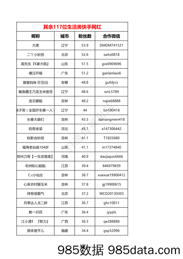 117位生活类快手网红