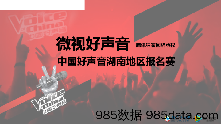 【娱乐影视综艺】娱乐-中国好声音湖南地区报名赛插图