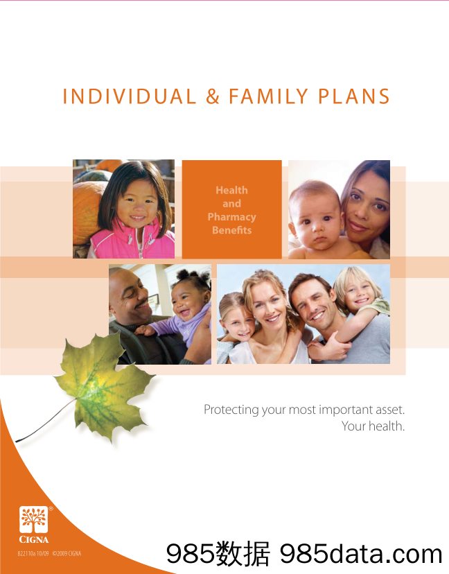 信诺保险Cigna_业务宣传册Brochure_T500C.com_Individual Family Plans