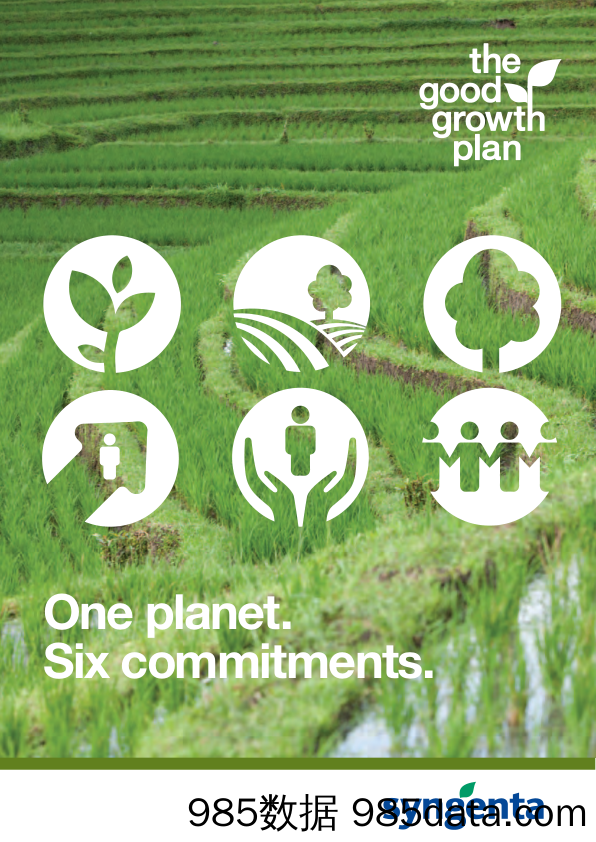 先正达Syngenta_公司宣传册Brochure_T500C.com_Growth Plan插图