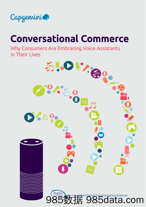 凯捷咨询Capgemini_业务宣传册Brochure_T500C.com_Dti conversational commerce