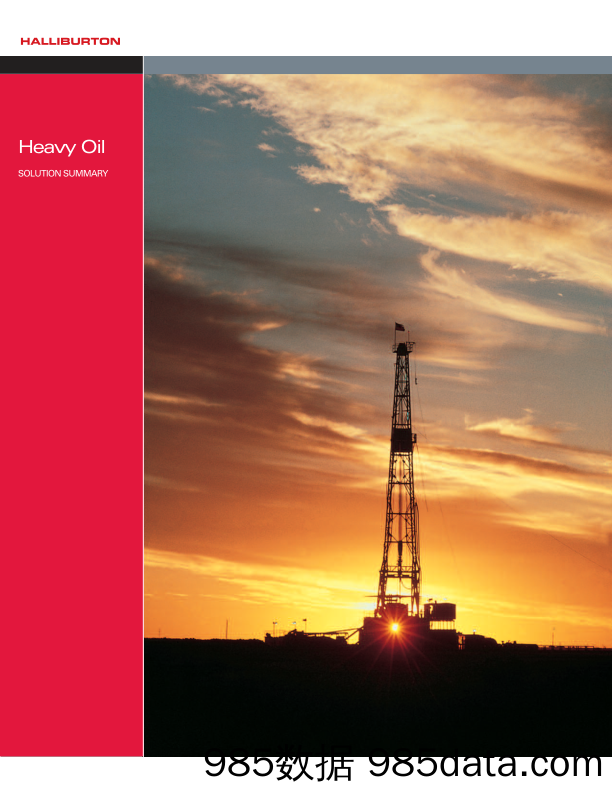 哈里伯顿Halliburton_业务宣传册Brochure_T500C.com_Heavy Oil Solutions