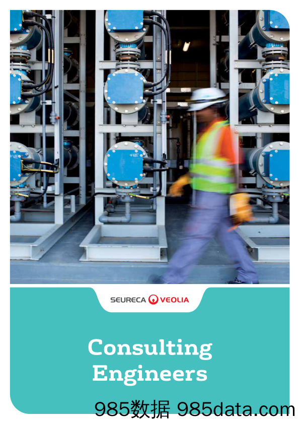 威立雅环境Veolia_业务宣传册Brochure_T500C.com_Consulting Engineers