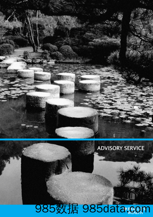 巴克莱银行Barclays_业务宣传册Brochure_T500C.com_Advisory Services