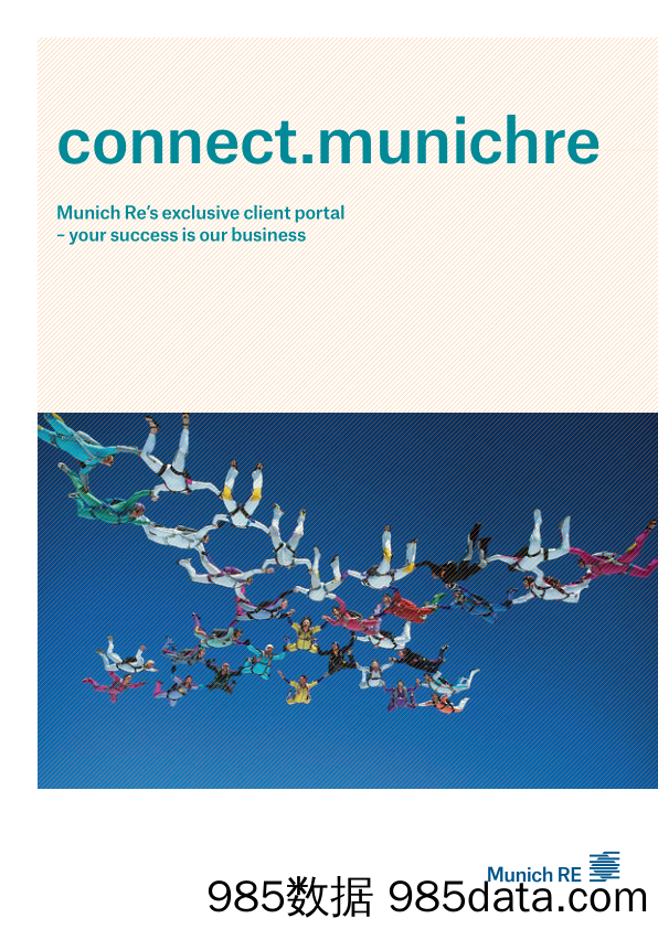 慕尼黑再保险MunichRe_业务宣传册Brochure_T500C.com_Connect