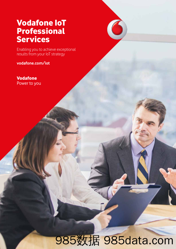 沃达丰Vodafone_业务宣传册Brochure_T500C.com_IoT Professional Services