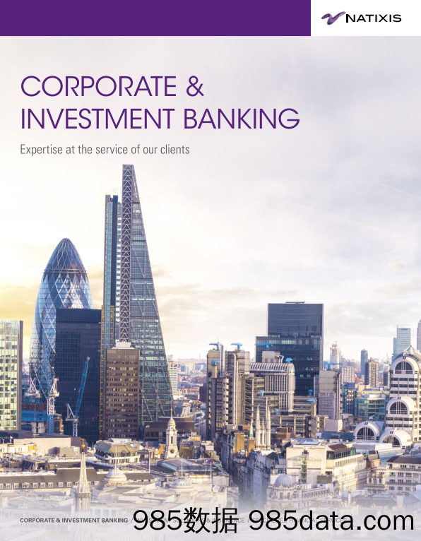 法国外贸银行Natixis_公司宣传册Brochure_T500C.com_Corporate Investment Banking