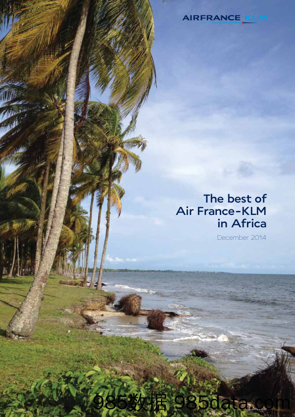 法国航空AirFrance-KLM_公司宣传册Brochure_T500C.com_Africa 2014