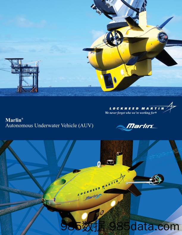 洛克希德马丁LockheedMartin_产品宣传册Brochure_T500C.com_Marlin brochure