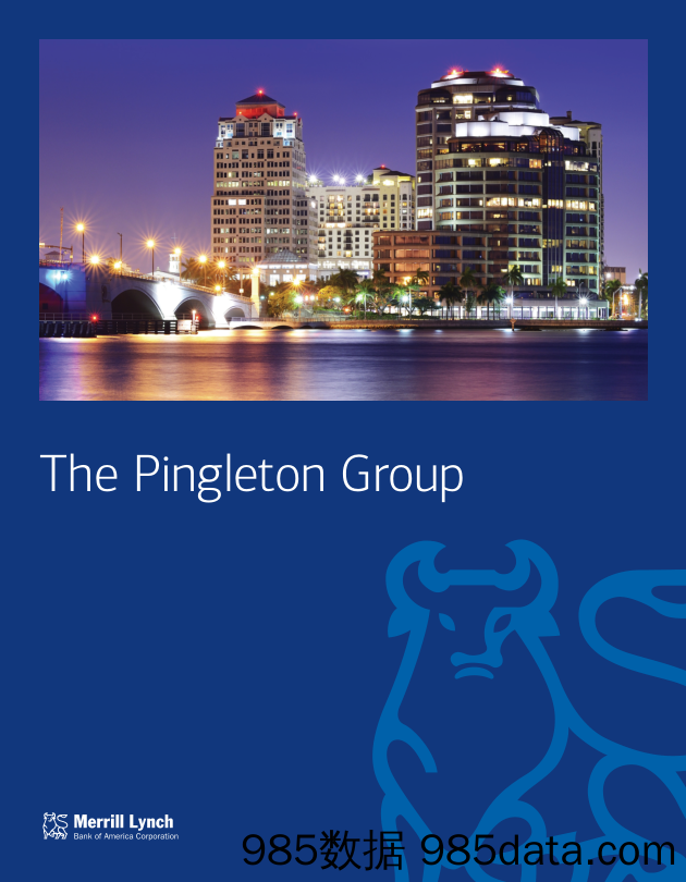 美银美林MerrillLynch_公司宣传册Brochure_T500C.com_The Pingleton Group Brochure插图