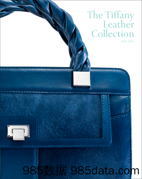 蒂凡尼Tiffany_产品宣传册Brochure_T500C.com_Leather Collection 2012