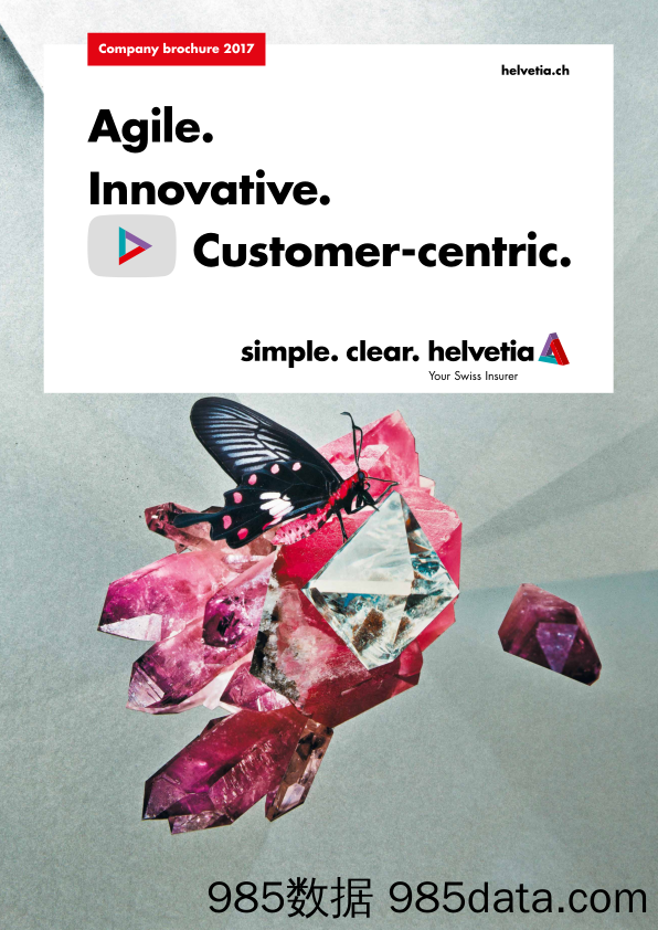 赫尔维西亚Helvetia_公司宣传册Brochure_T500C.com_Company Brochure 2017