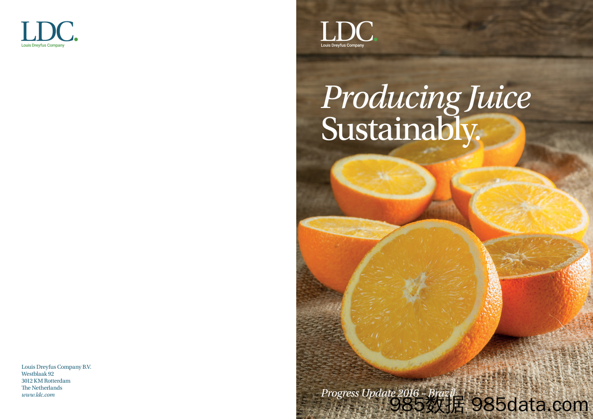 路易达孚LouisDreyfus_业务宣传册Brochure_T500C.com_Juice Progress 2016