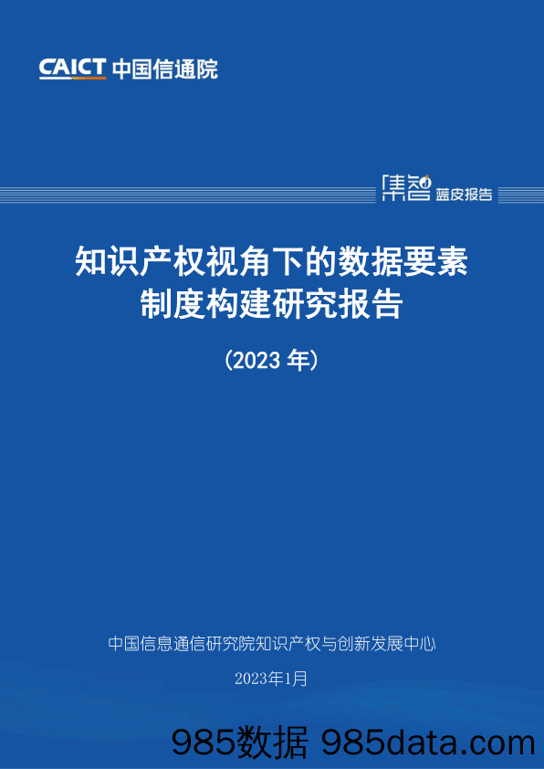 知识产权视角下的数据要素制度构建研究报告（2023年）