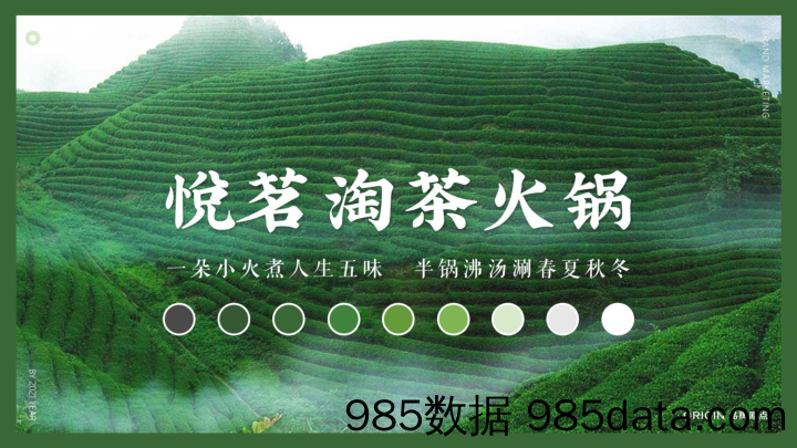 20210726-2020悦茗淘茶火锅品牌策划方案