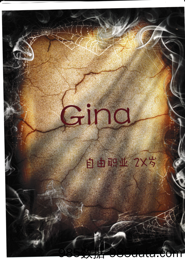 Gina插图