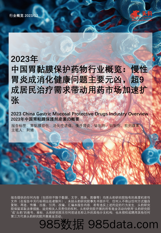 2023年中国胃黏膜保护药物行业概览：慢性胃炎成消化健康问题主要元凶，超9成居民治疗需求带动用药市场加速扩张-240419-头豹研究院