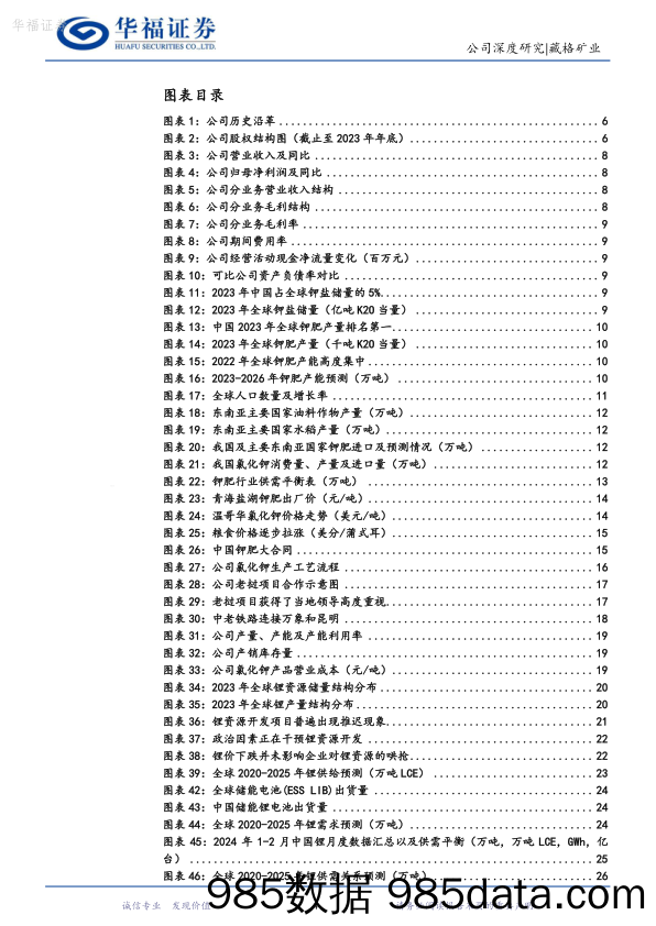 藏格矿业-000408.SZ-巨龙赋能助力，钾锂双业务齐飞-20240419-华福证券插图3