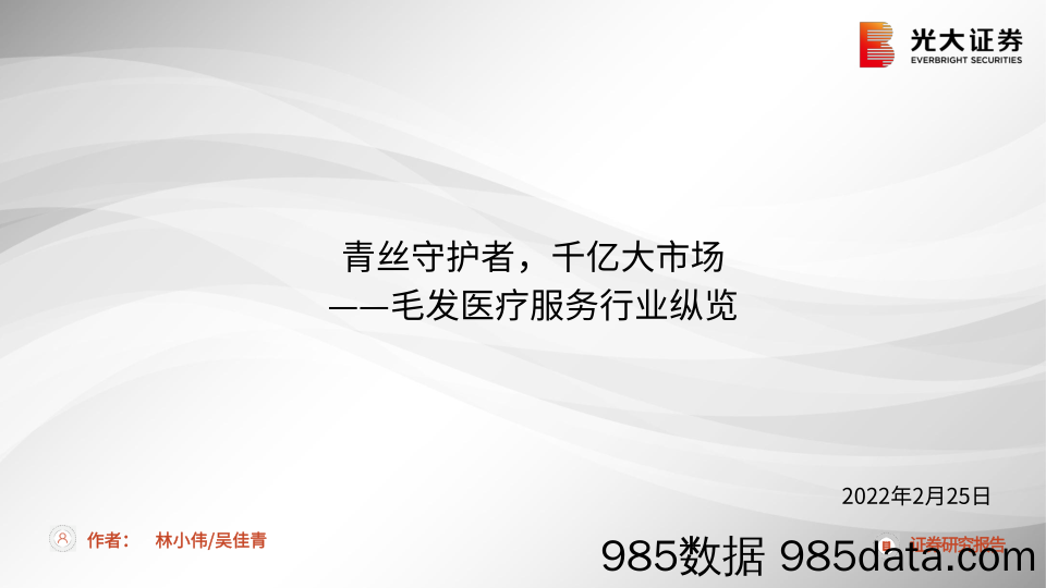 【医疗行业研报】毛发医疗服务行业纵览：青丝守护者，千亿大市场-20220225-光大证券