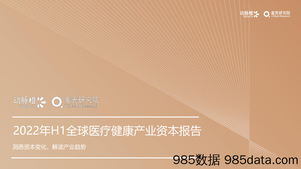 【医疗行业研报】动脉橙-2022年H1全球医疗健康产业资本报告