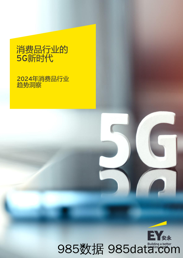 消费品行业的5G新时代：2024年消费品行业趋势洞察-安永-2024