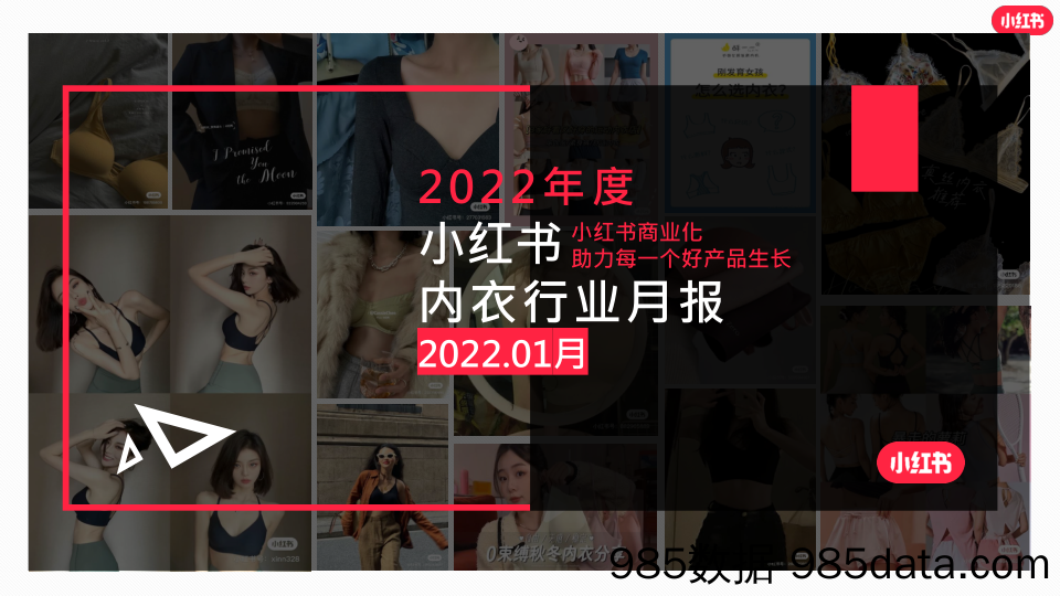 【服装服饰-市场研报】小红书2022年内衣行业月报-202201