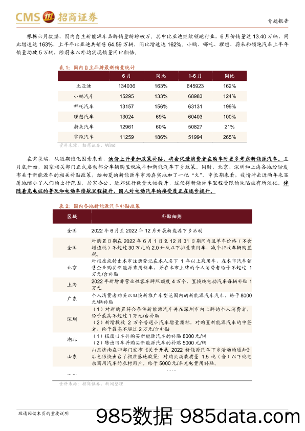 【新能源汽车研报】银华全球新能源车量化优选投资价值分析：乘全球新能源车浪潮东风，量化精选获取稳健alpha-20220802-招商证券插图4