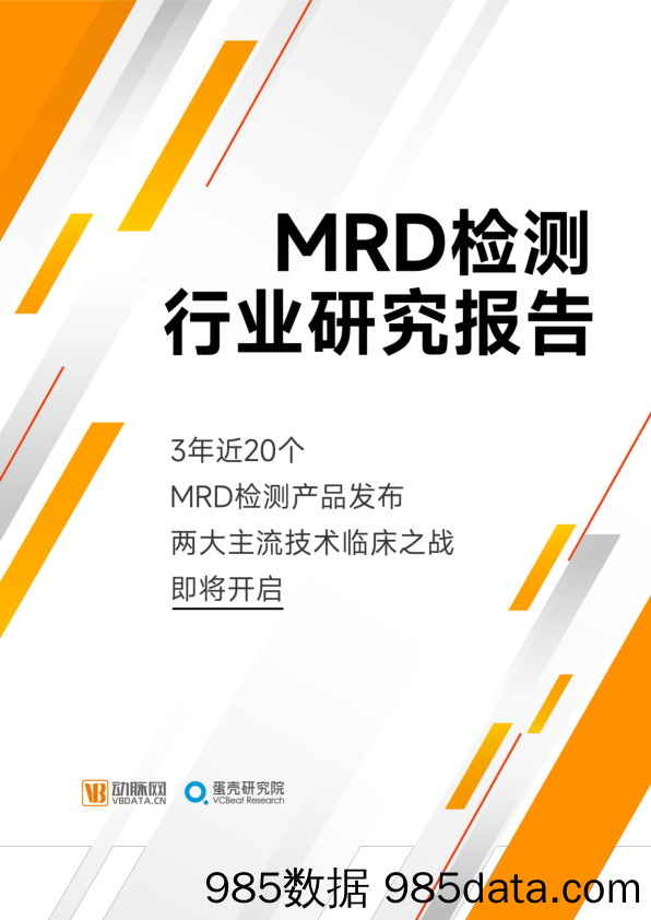 2023MRD检测报告