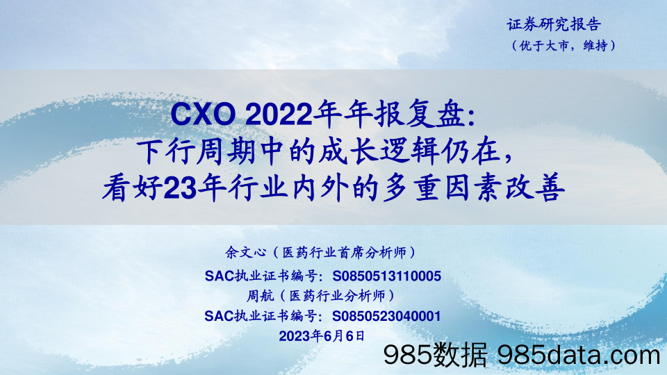 医药行业CXO 2022年年报复盘：下行周期中的成长逻辑仍在，看好23年行业内外的多重因素改善-20230606-海通证券