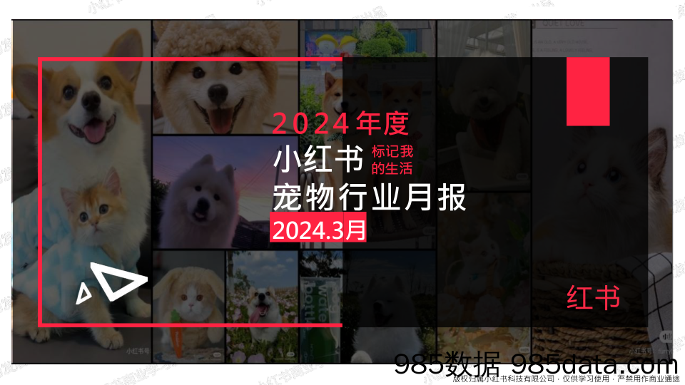 小红书2024年宠物行业3月月报-小红书