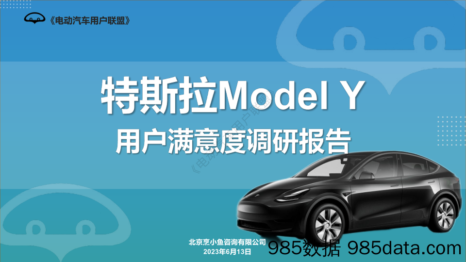 特斯拉Model+Y满意度调研