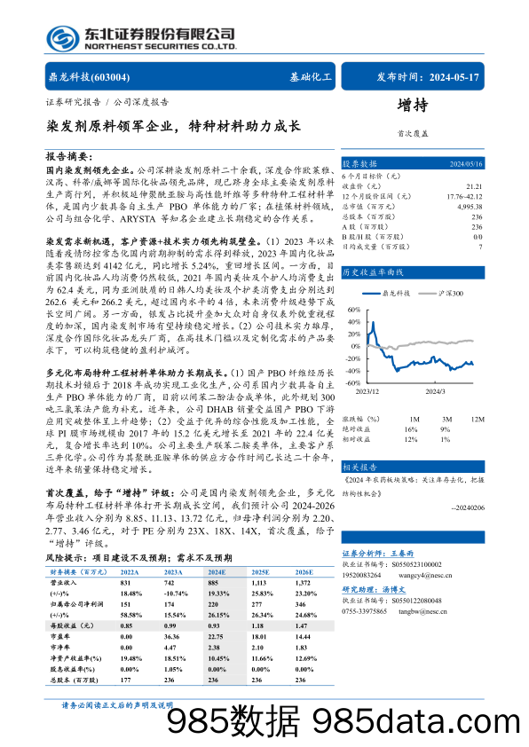 鼎龙科技(603004)染发剂原料领军企业，特种材料助力成长-240517-东北证券