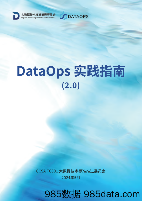 DataOps 实践指南2.0(2024.5)