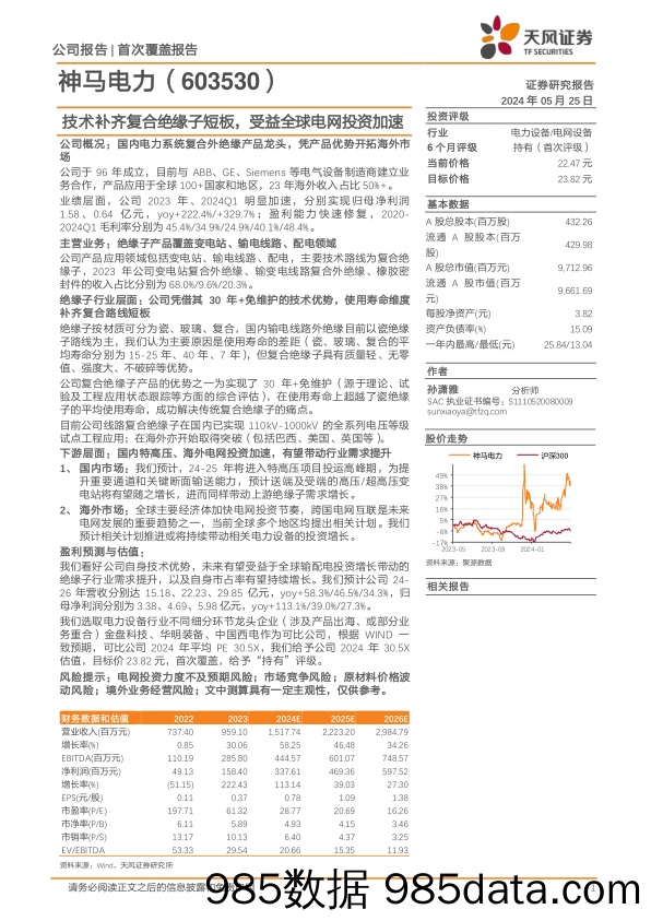 神马电力-603530.SH-技术补齐复合绝缘子短板，受益全球电网投资加速-20240525-天风证券