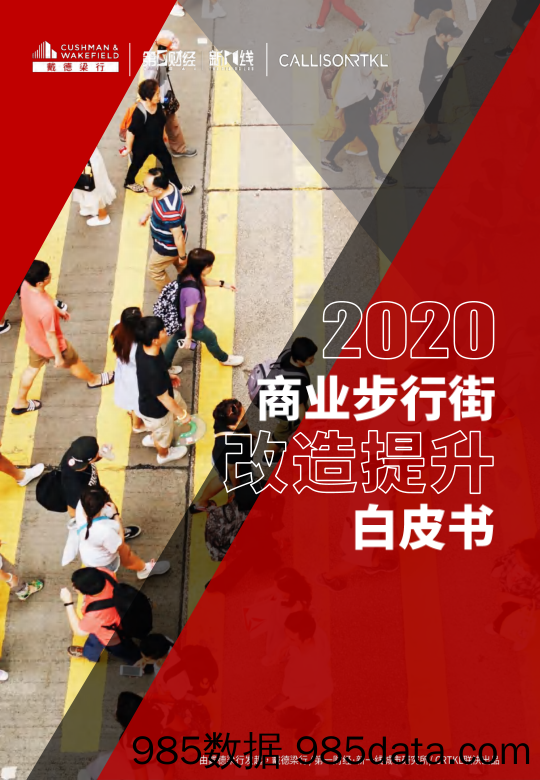 2020-07-17_策略报告_2020商业步行街改造提升白皮书_戴德梁行