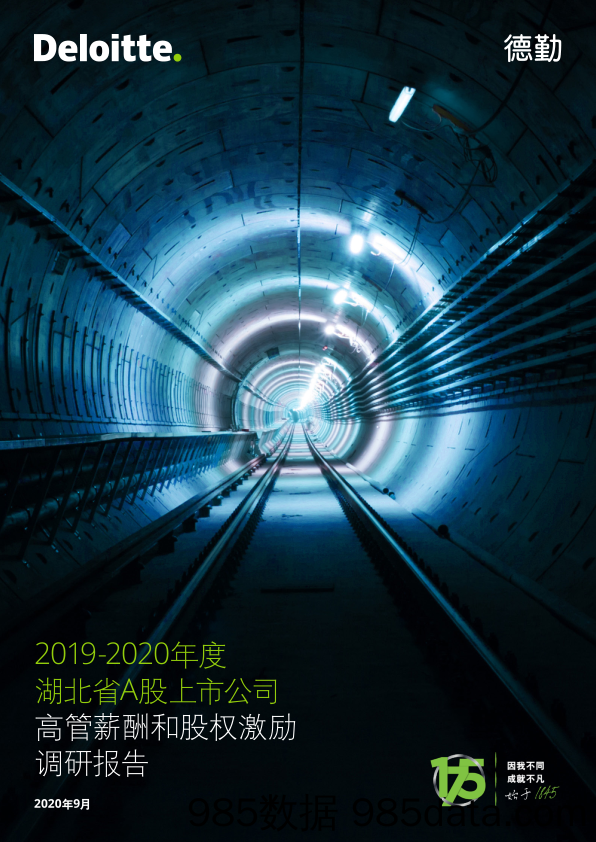 2020-09-22_策略报告_2019-2020年度湖北省A股上市公司：高管薪酬和股权激励调研报告_德勤