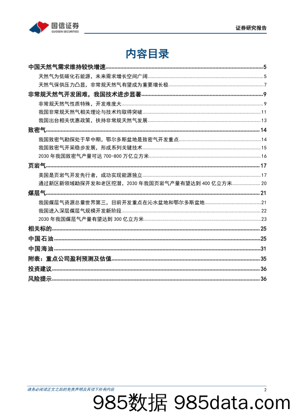 非常规天然气行业专题：非常规天然气成为重要增量，龙头企业有望充分受益-240606-国信证券插图1