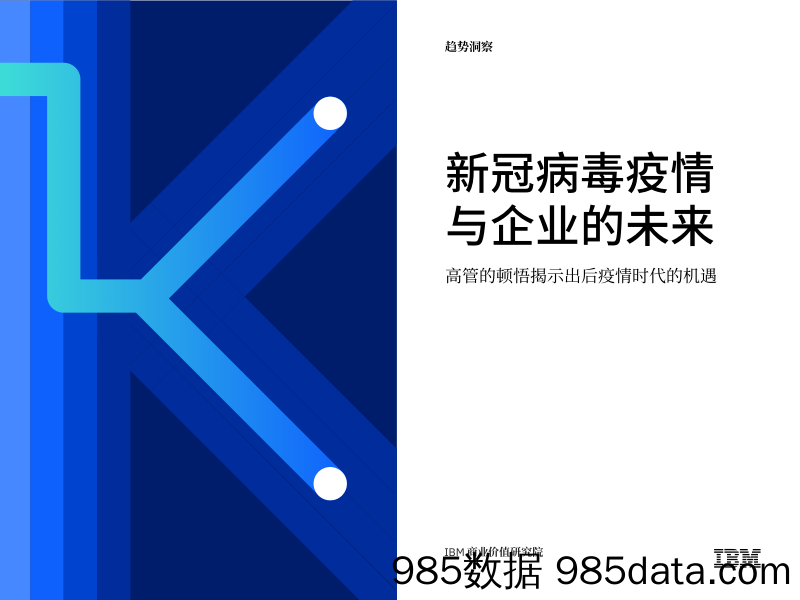 2020-11-11_策略报告_高管的顿悟揭示出后疫情时代的机遇：新冠病毒疫情与企业的未来_IBM商业价值研究院