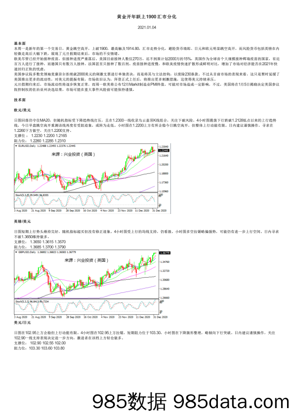 2021-01-05_策略报告_黄金开年跃上1900汇市分化_兴业投资